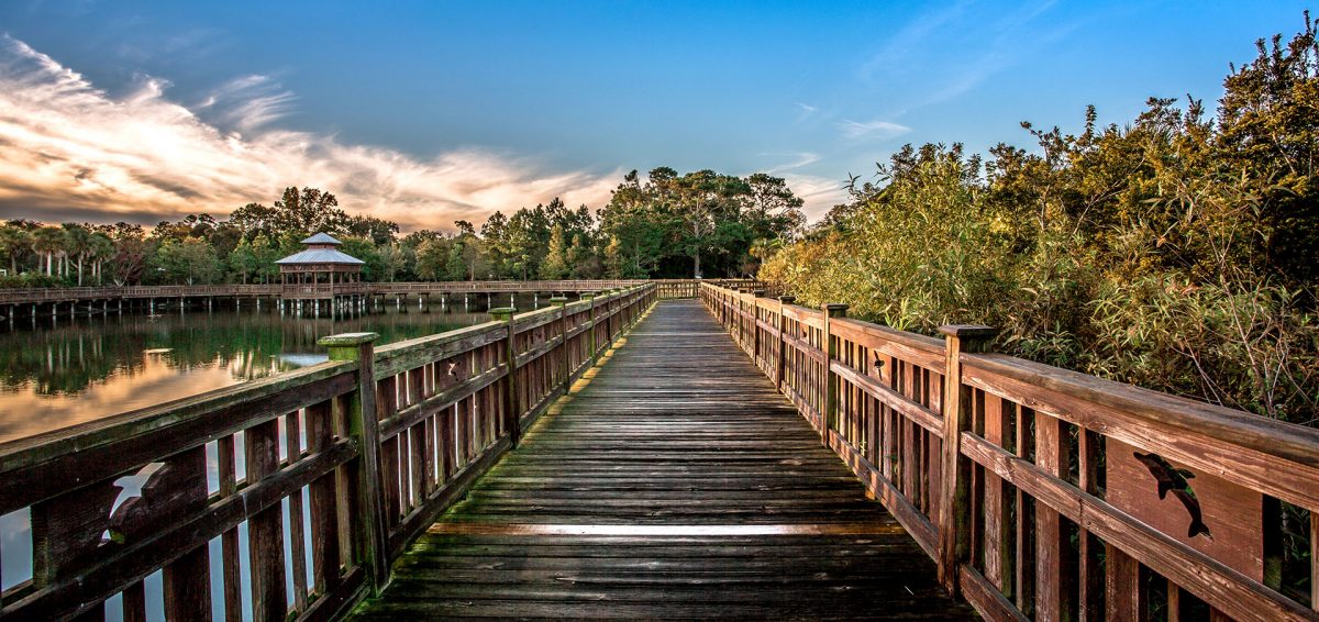 Bird Island Park Ponte Vedra Naturally